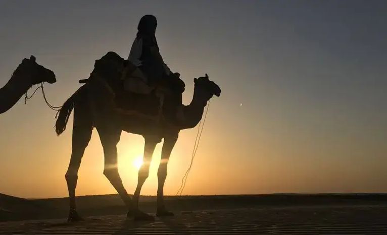 1 Night and 2 Days Desert Safari Tour Package